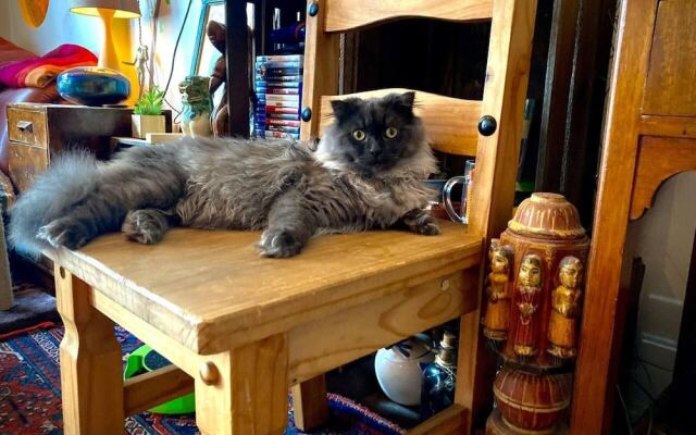 Amazing Riverside Boheme Home in SW London!