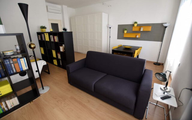 Rondone Giallo - Le Rondinelle