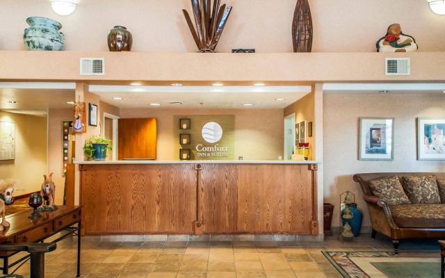 Comfort Inn & Suites I-25 Near Spaceport America