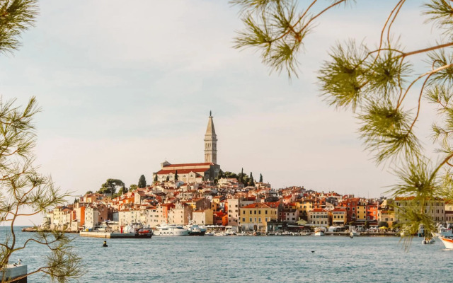 Sunny & Charming Apartment with 2 free bikes