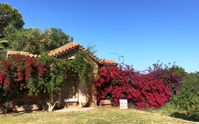 Gran Villa Rosa