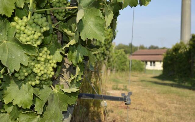 Agriturismo Corte Ambrosio