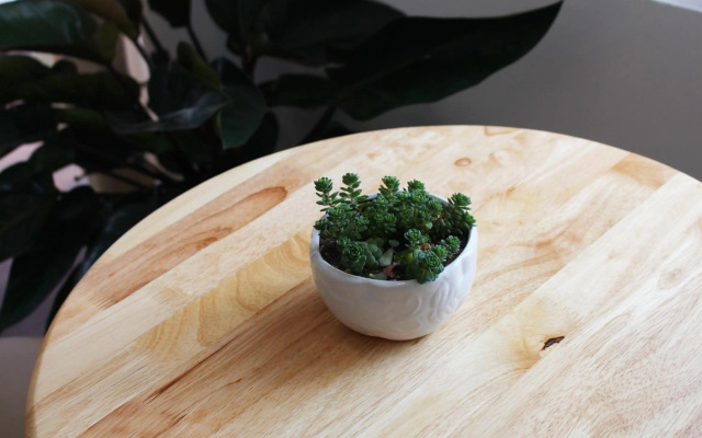 Selena Dalat Homestay