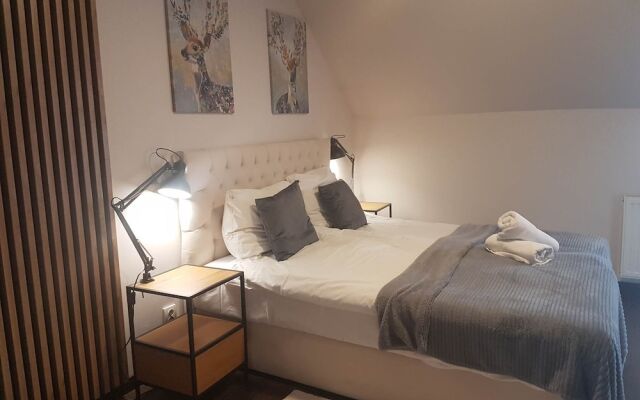 Poduszka Apartments Pod Lysica