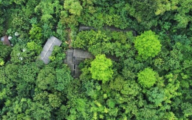 Shangdao Homestay