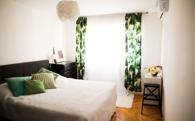 Cozy apt Within Walk Distance to Center and Beach