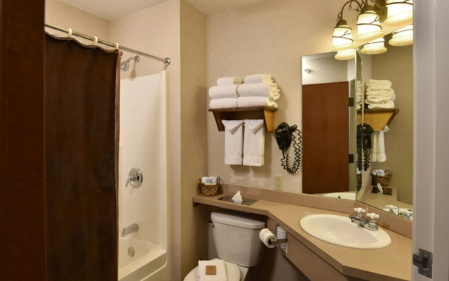 Stoney Creek Hotel Quad Cities - Moline