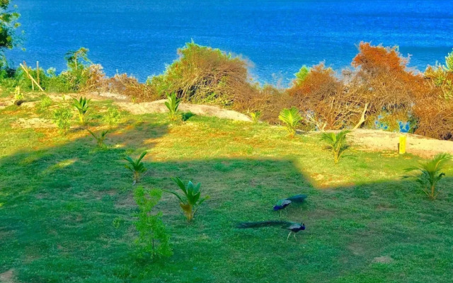 Ashansa Lagoon Resort