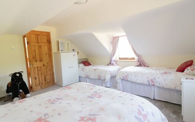 Plas Y Ward Cottage