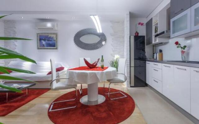 Luxury Apartment