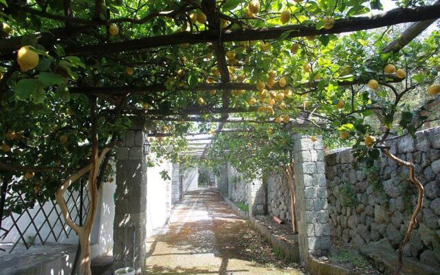Agriturismo Il Vitigno