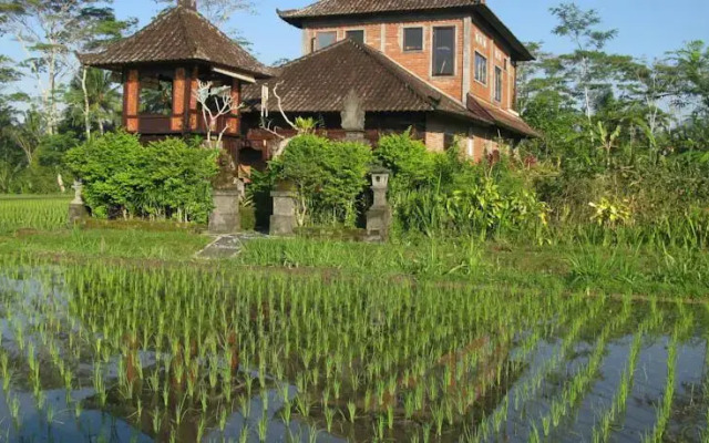 Swallow Guesthouse