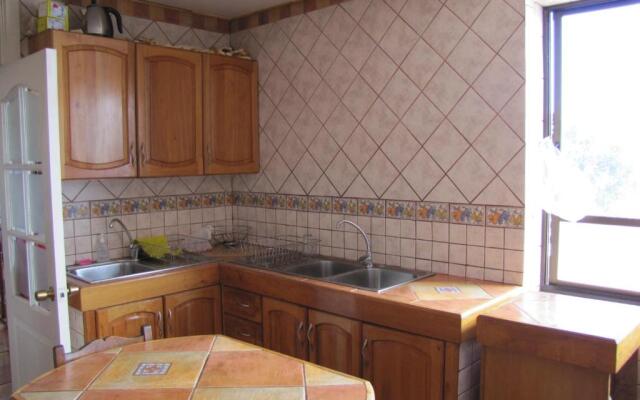 Hostal Antumulen