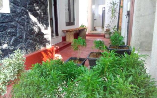 Green House