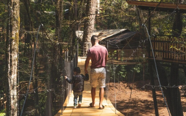 Pecana Incredible Lodge in the Forest With Private Jacuzzi