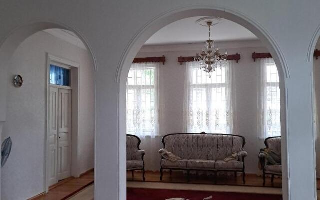Nika house
