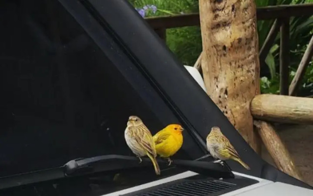 Rancho Pedra do Picú