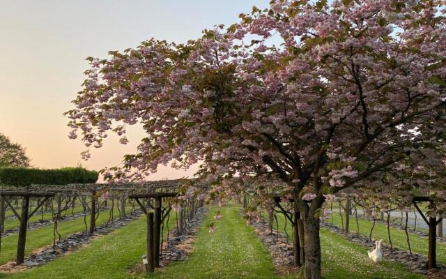 Jabajak Vineyard Restaurant With Rooms