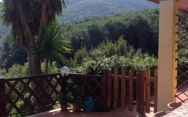 Casa Vacanze Alina