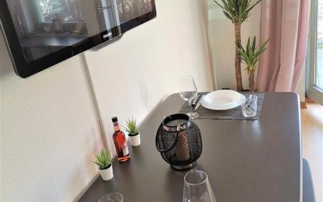 Modernes Apartment Dresden Neustadt
