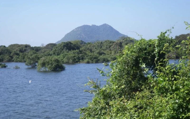 Mahagedara Inn