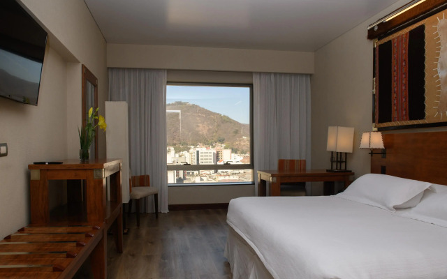 Alejandro I Hotel