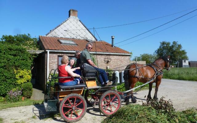Guesthouse Kolibriehuys