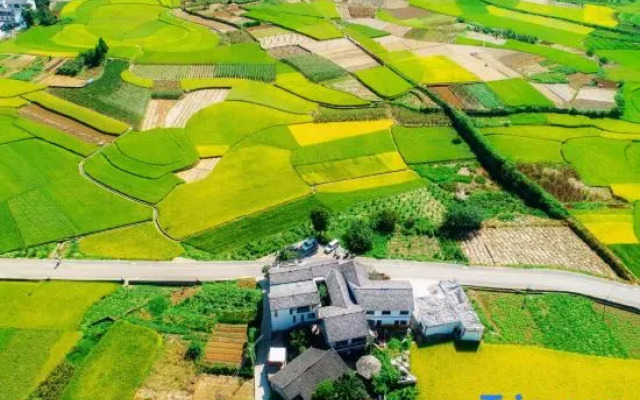 Xingyi Wanfeng Linyi Boutique Inn (Wanfenglin Baguatian Attractions)