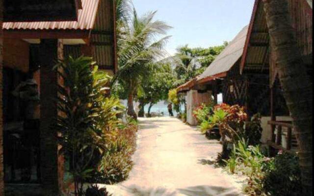 Nomads Long Beach, Phi Phi