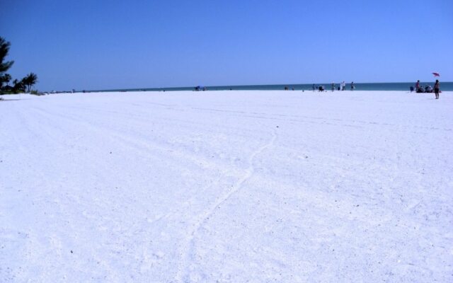 Anna Maria Island 1301 2A