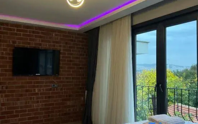 Stylish Apartment with Bosphorus View
