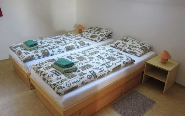 Mansion in Starkov Near Acitvities