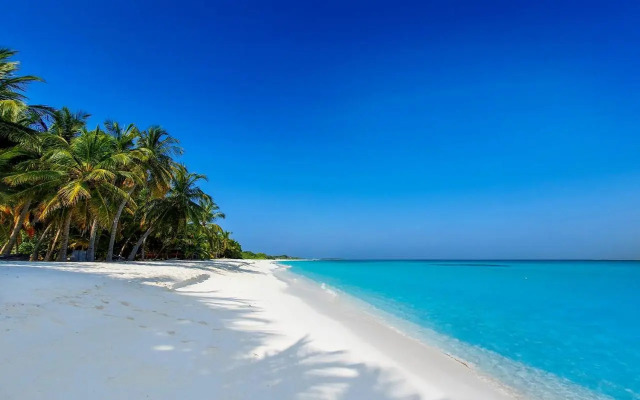 Blue Coral Vashafaru Maldives