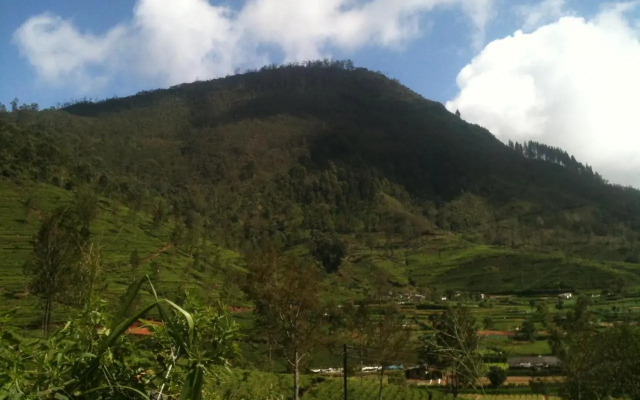Subash Hotel
