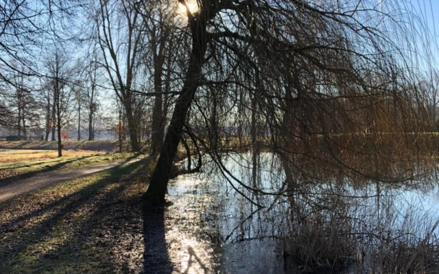 Hotel am Doktorplatz