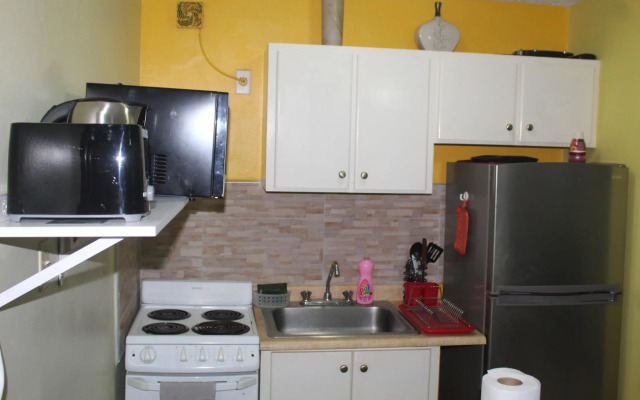 Comfy, Central & Elegant Studio New Kingston