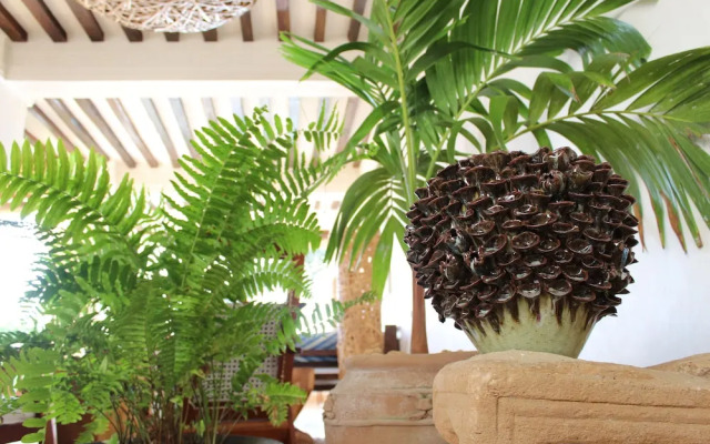 Peponi Hotel