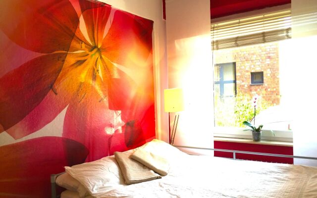 The Room 44