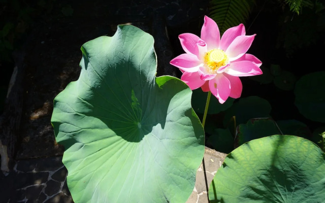 Gunung Paradis Retreat