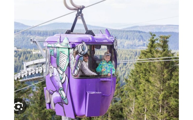 Cosy Apartment in Harz