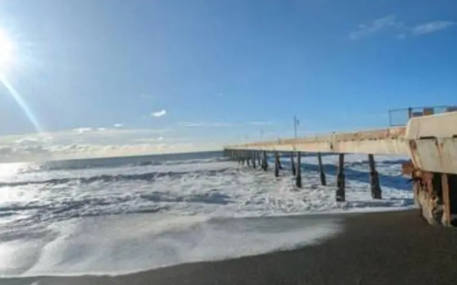 Coastal Palm Tree 2BR Retreat Ocean View