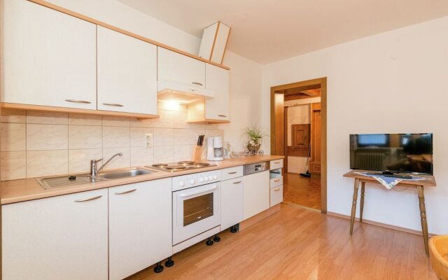 Spacious Apartment in Hollersbach im Pinzgau near Ski Area