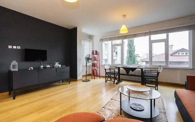 Central Stylish House in Gayrettepe