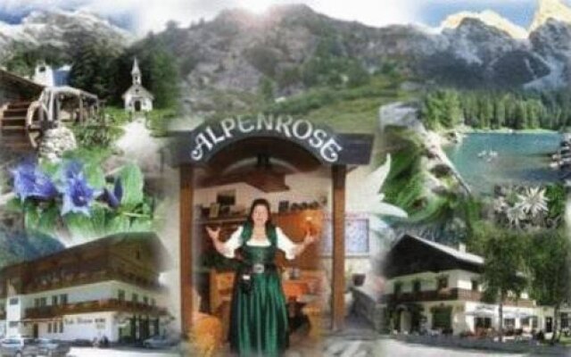 Gasthof Alpenrose & Pension Nina