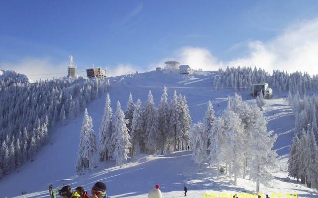 Traveland Poiana Brasov