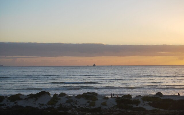 Dolphin Beachfront Condo