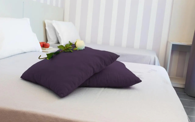 Hotel Star
