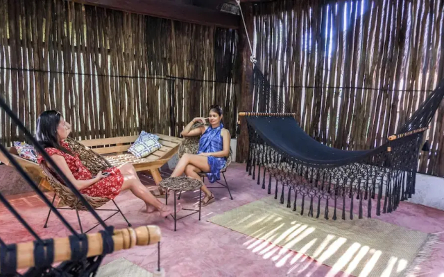 Jungla y Estrellas K AAX EK