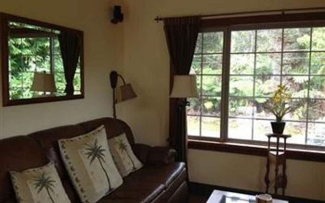 Volcano Big Tree Sanctuary