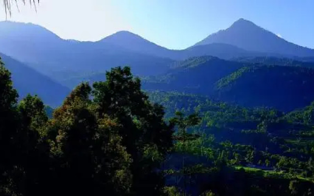 Munduk Don Biyu